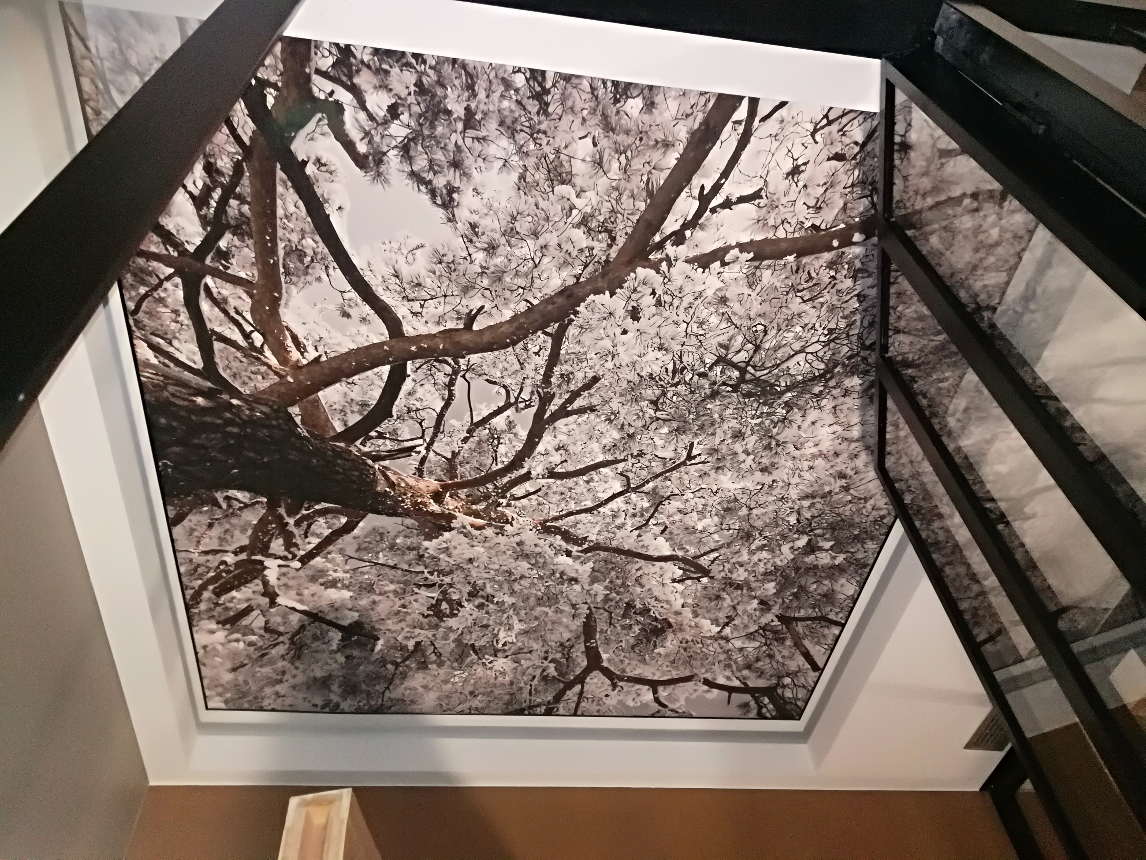 Plafond tendu arbre Plafond tendu arbre neige hiver